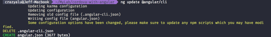 ng update @angular/cli